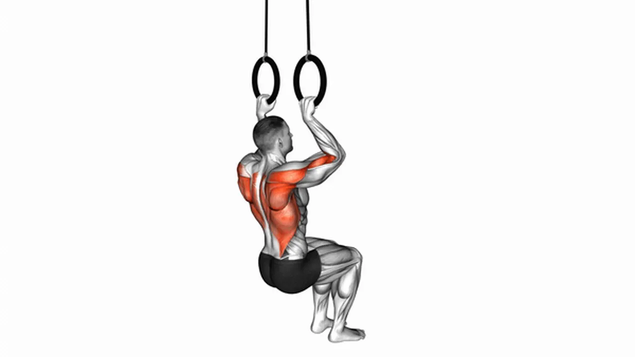 Common Ring Self-Assisted Pull-Up variations Image