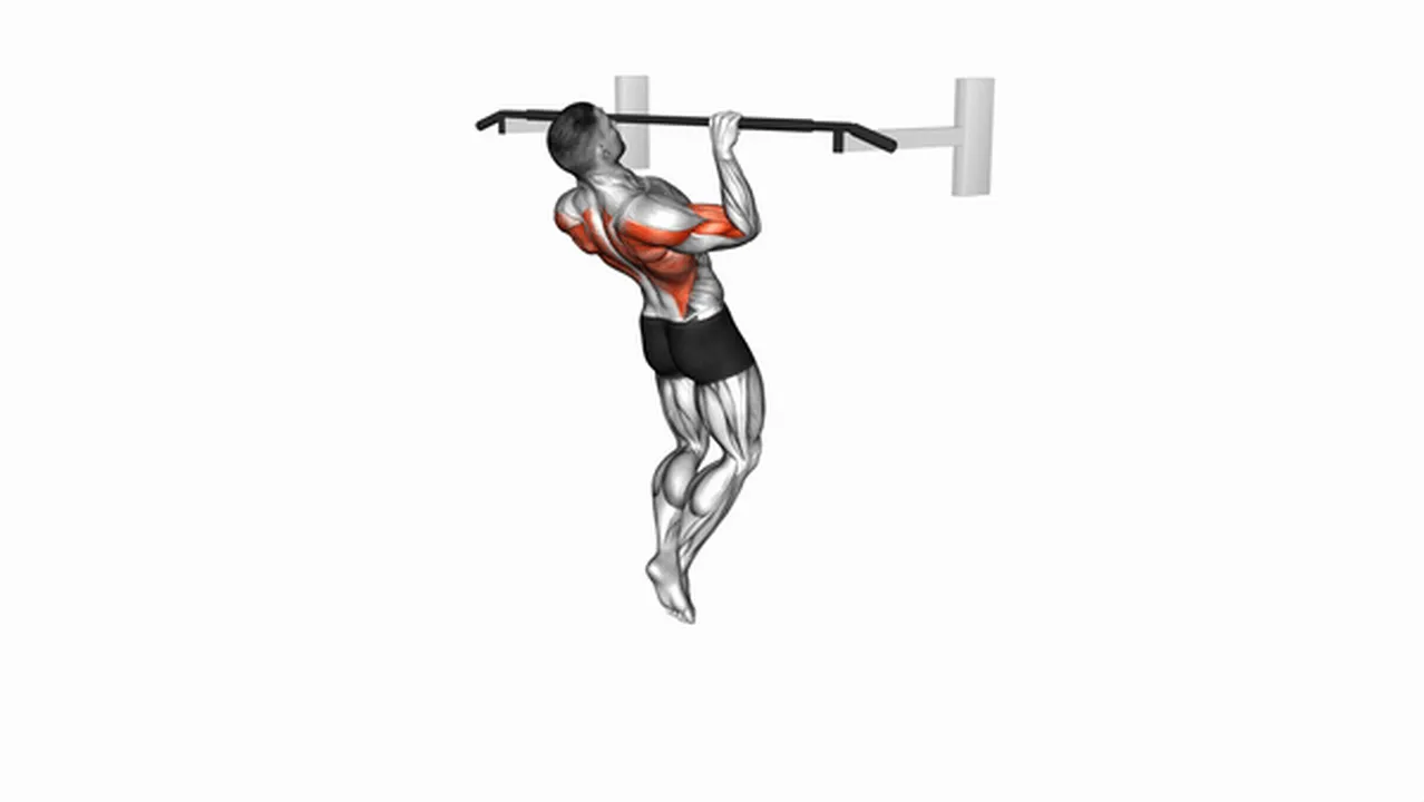 How to do Rocky Pull-Up Pulldowns? Image