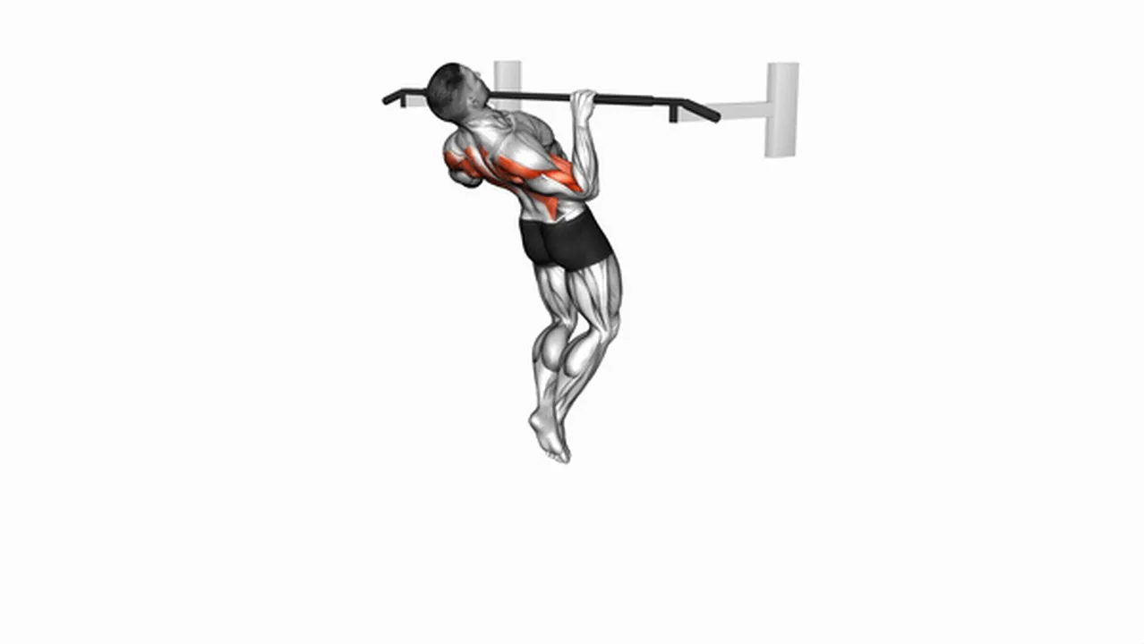 Common Rocky Pull-Up Pulldown variations Image