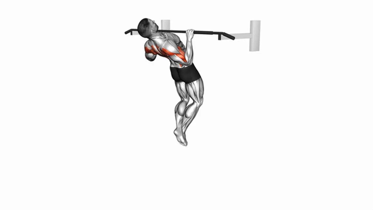 Alternatives to Rocky Pull-Up Pulldowns Image