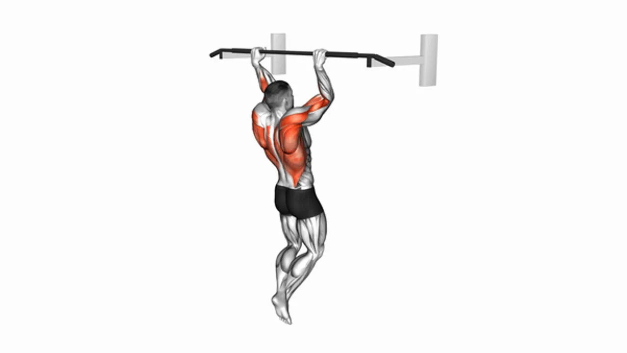 Rocky Pull-Up Pulldown