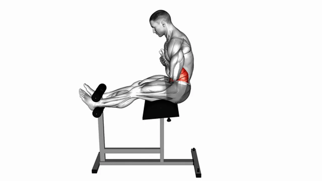 What are the benefits of Roman Chair Sit-Ups? Image