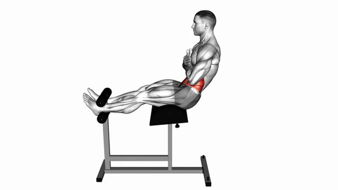 Common Roman Chair Sit-Up variations Image