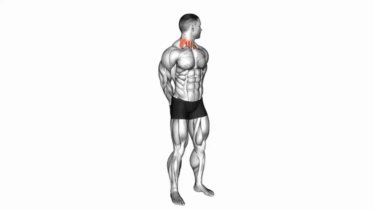 What are the benefits of rotating neck stretches? Image