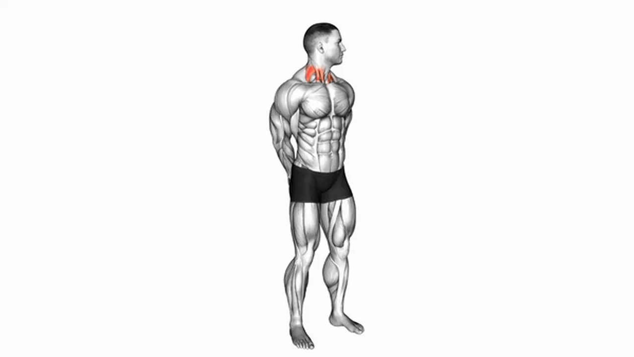 Common rotating neck stretch variations Image