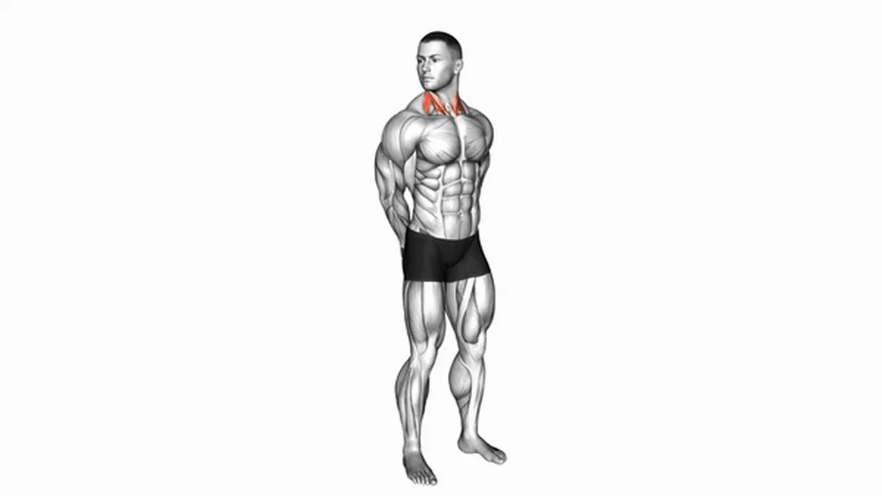 Alternatives to rotating neck stretches Image