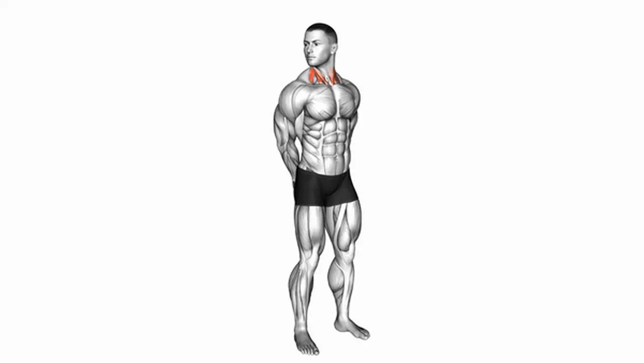 Common mistakes during rotating neck stretches Image