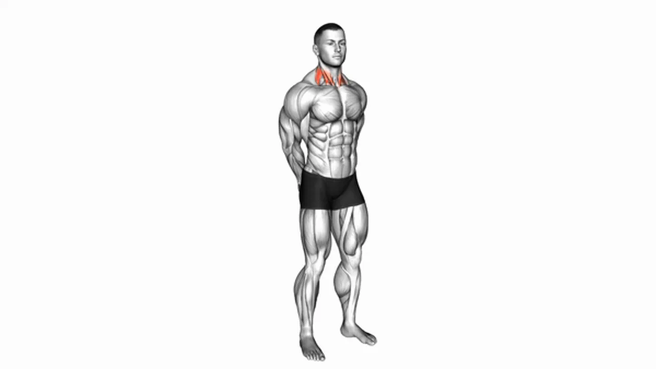 Rotating Neck Stretch