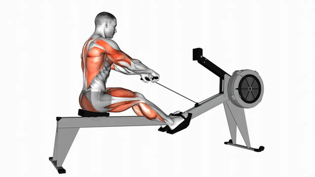 What are the benefits of rowing machine workouts? Image