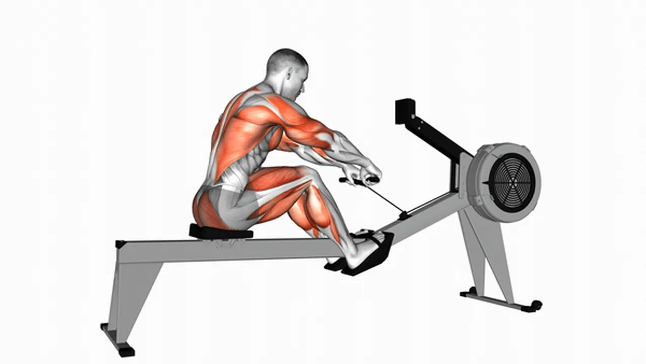 Common mistakes during rowing machine workouts Image