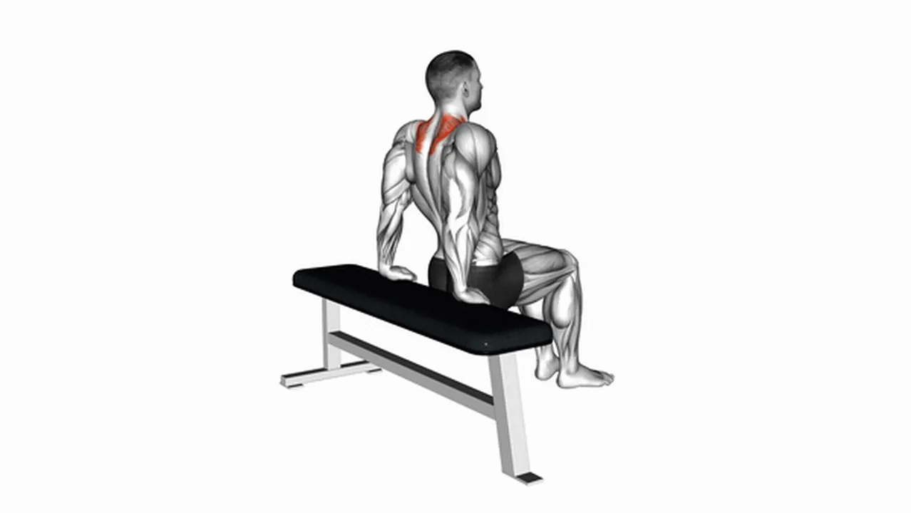 What are the benefits of Scapula Dips? Image