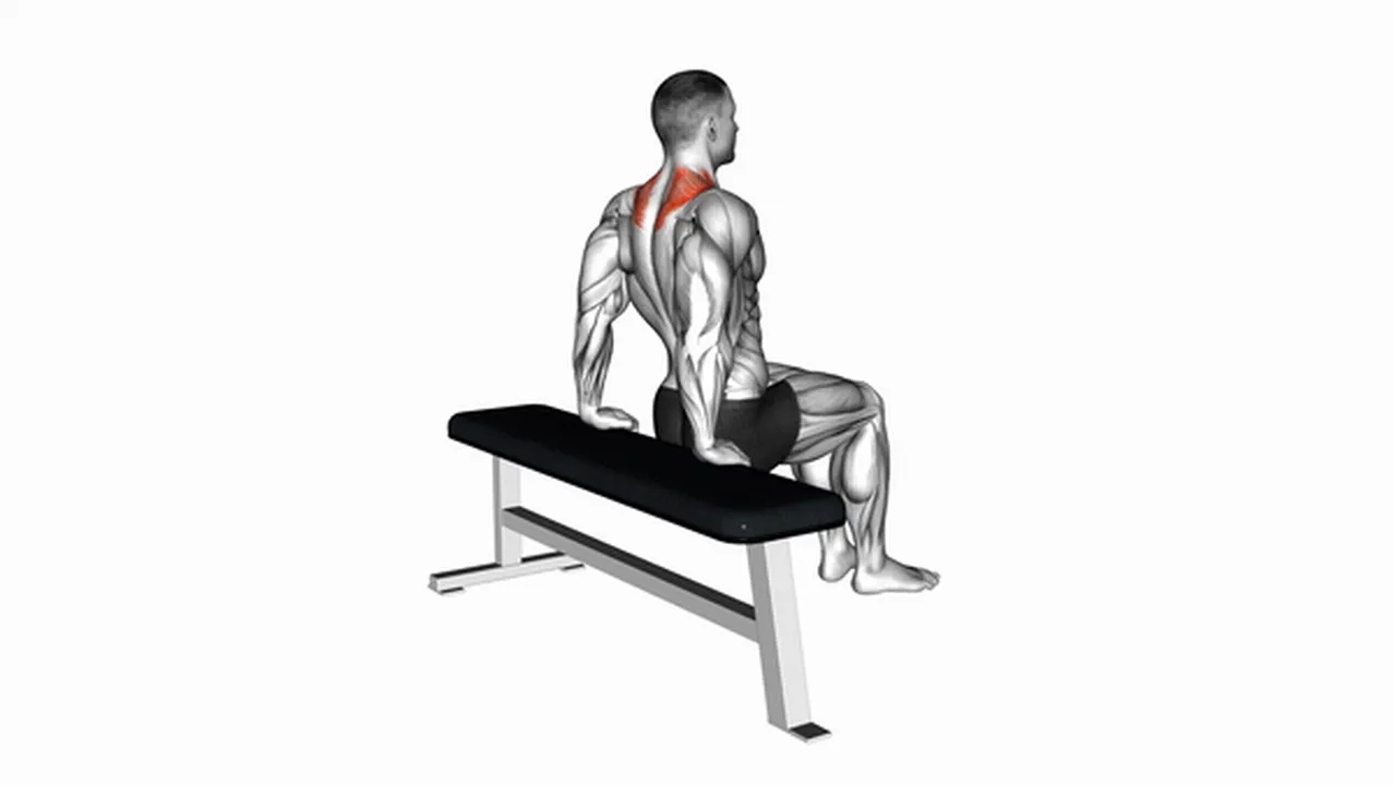 How to do Scapula Dips? Image