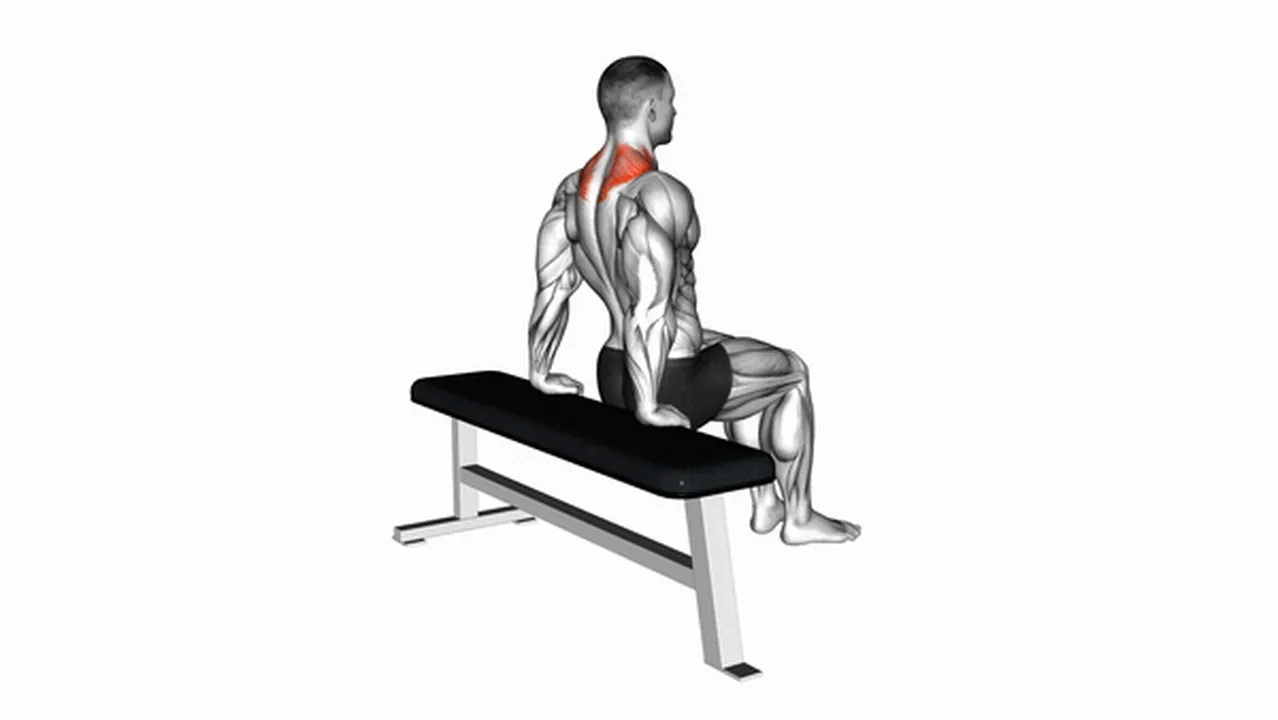 Common mistakes during Scapula Dips Image