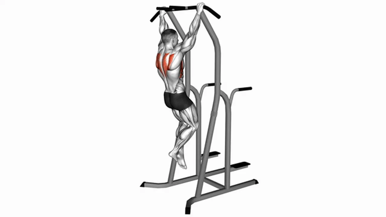 Common Scapular Pull-Up variations Image