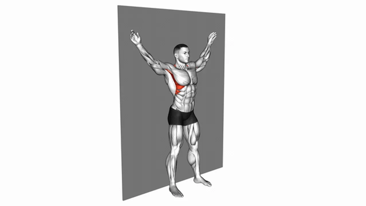 How to do scapular slides? Image