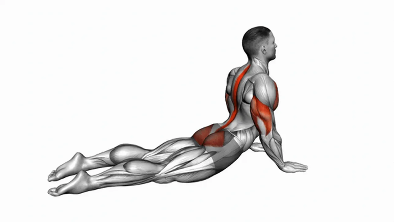 Alternatives to Seal Push-Ups Image