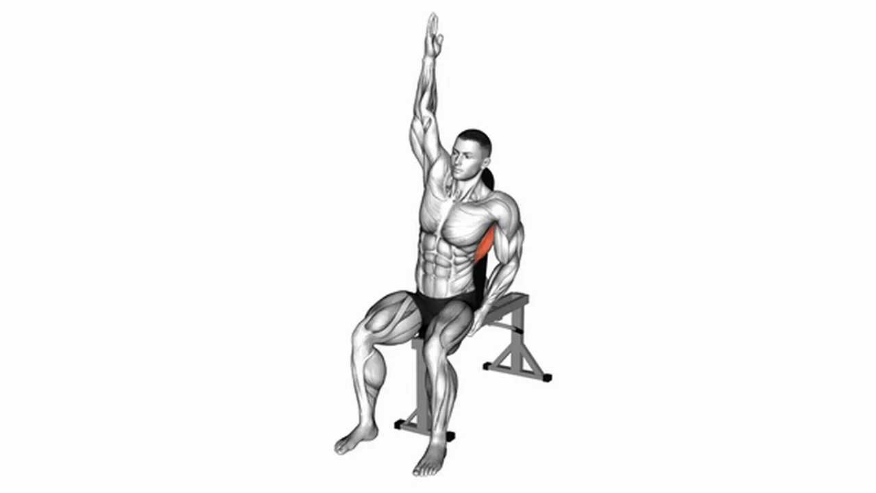 Common Seated Lower Back Stretch variations Image