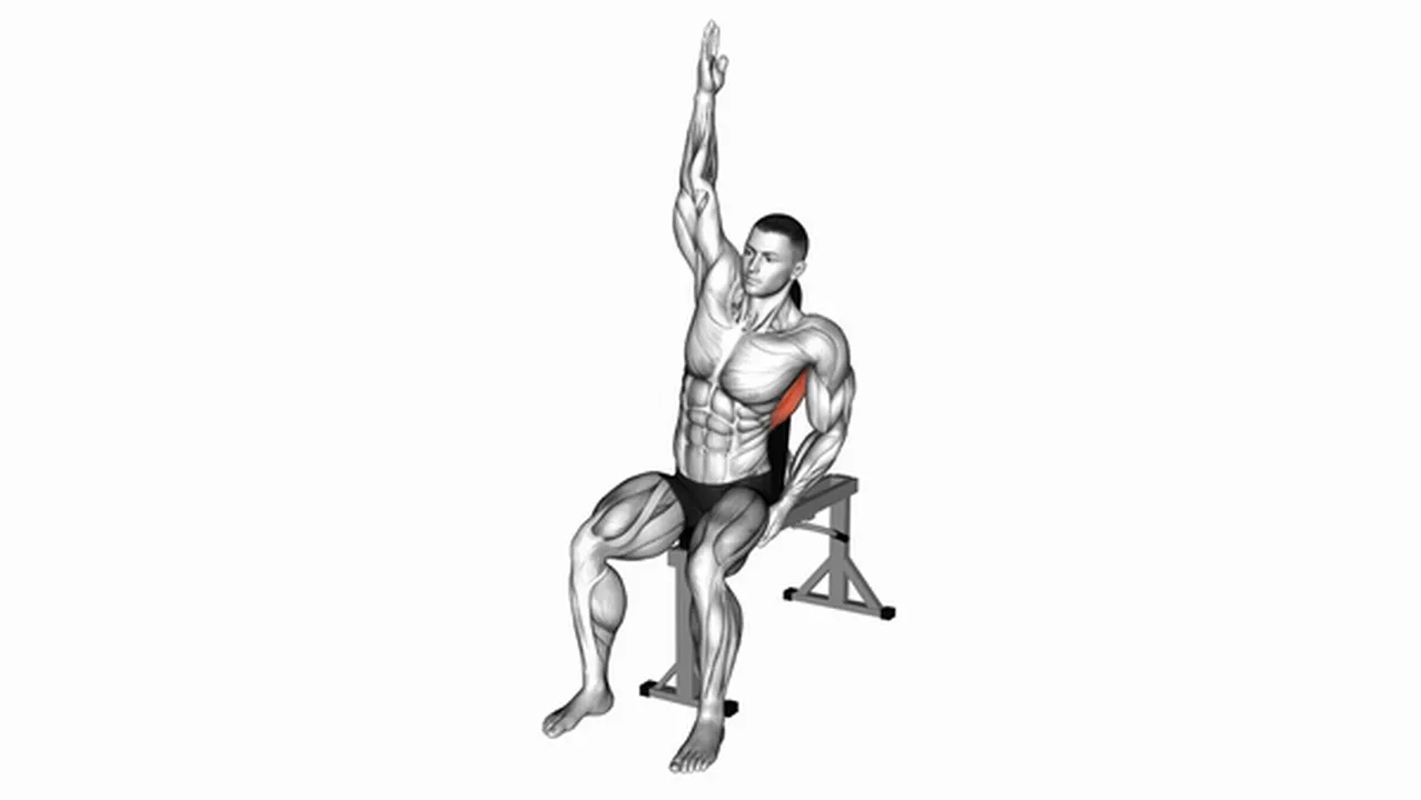 Alternatives to Seated Lower Back Stretch Image