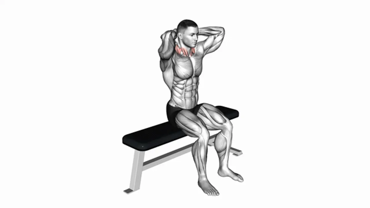 Seated Neck Flexion and Extension