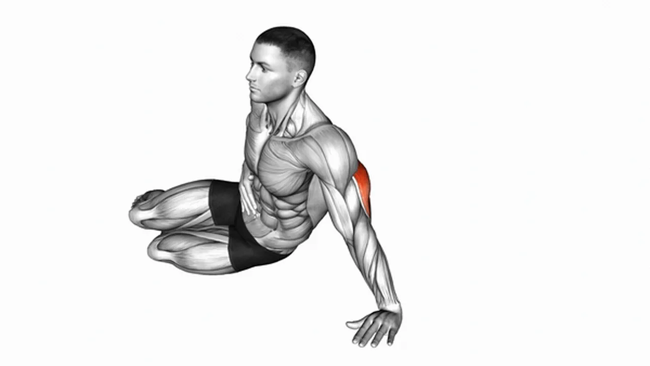 Common variations of Side Lying Single Arm Triceps Push Ups Image