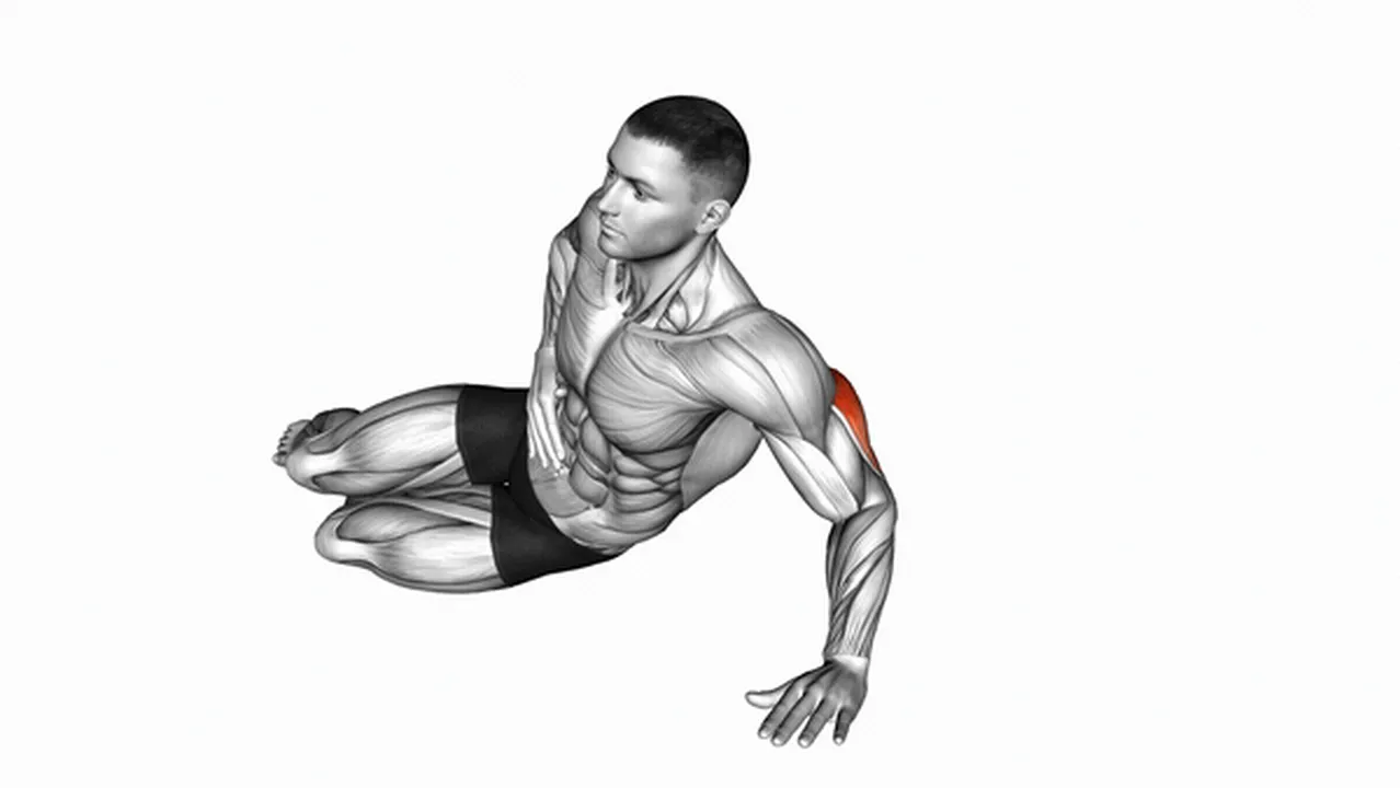 Alternatives to Side Lying Single Arm Triceps Push Ups Image