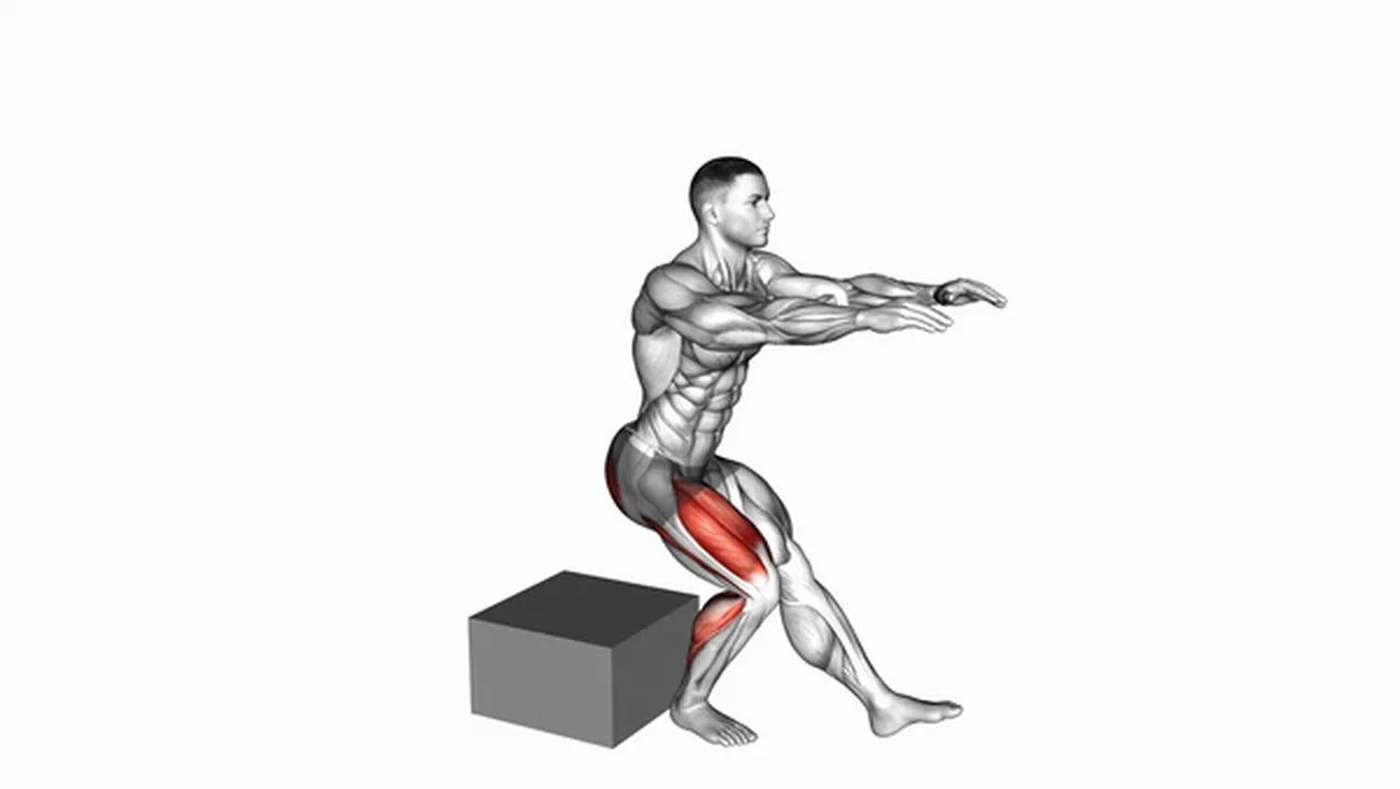 How to do single leg low box squats? Image