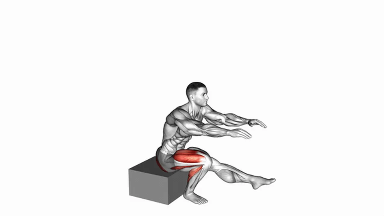 Common single leg low box squat variations Image