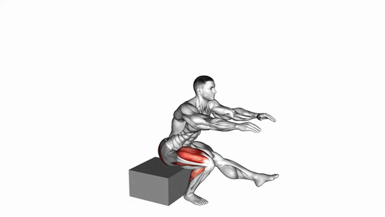 Alternatives to single leg low box squats Image