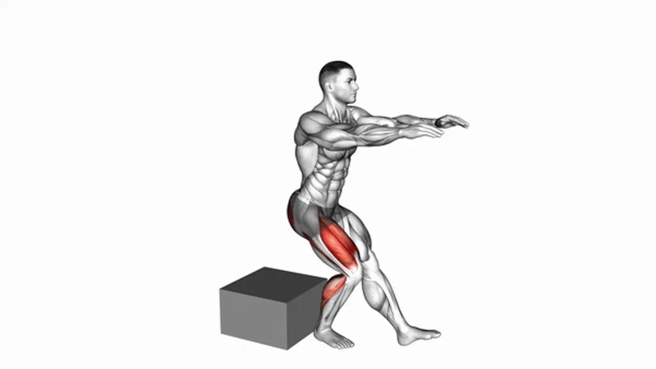 Single Leg Low Box Squats