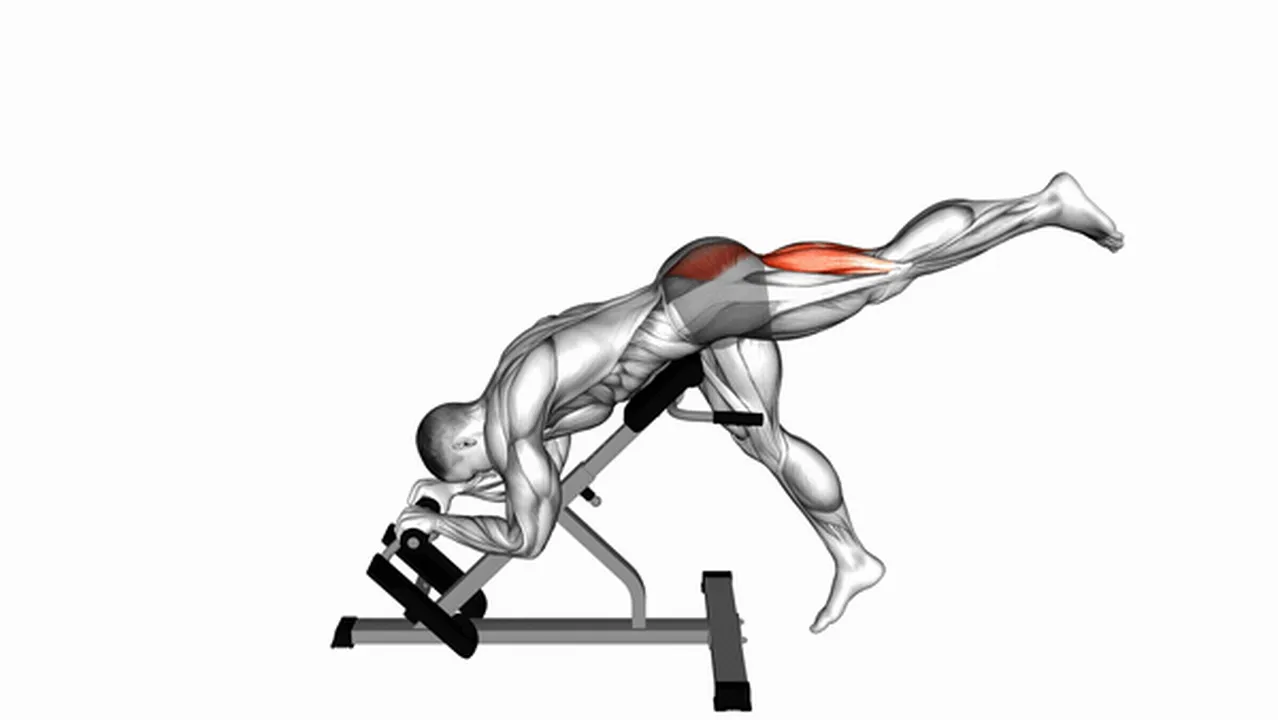 Common Single Leg Reverse Hyperextension variations Image