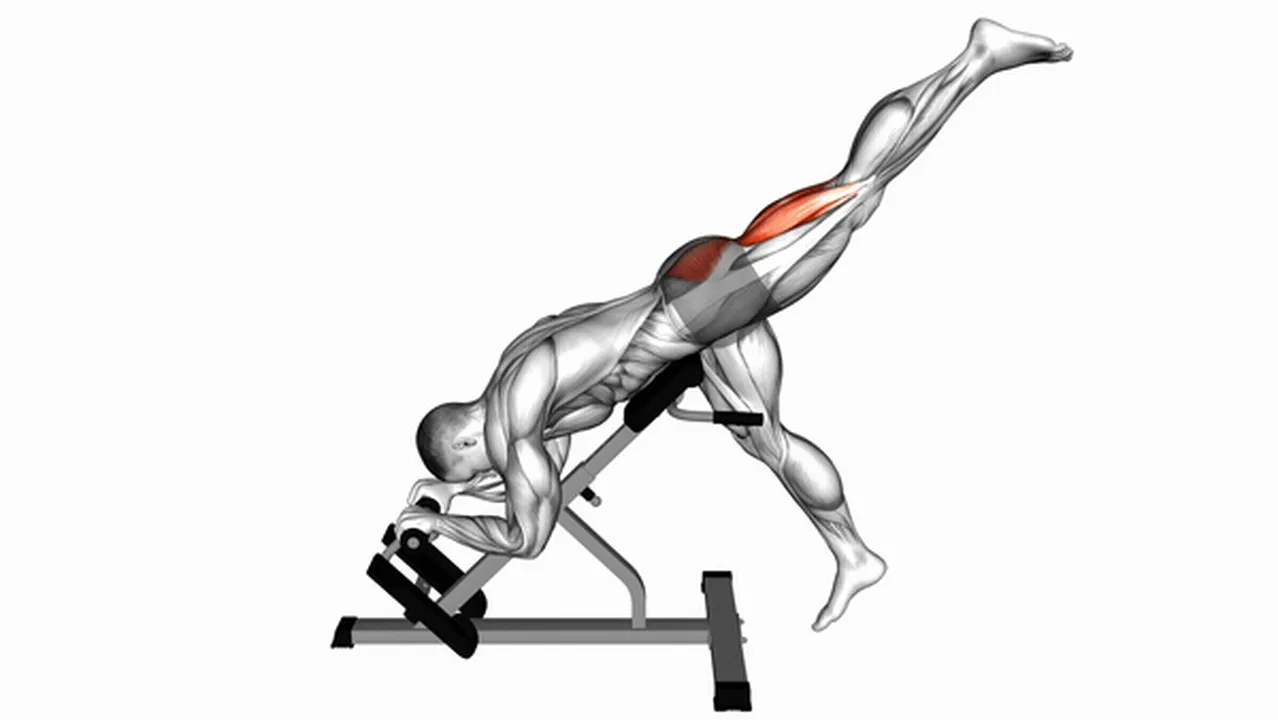 Alternatives to Single Leg Reverse Hyperextension Image