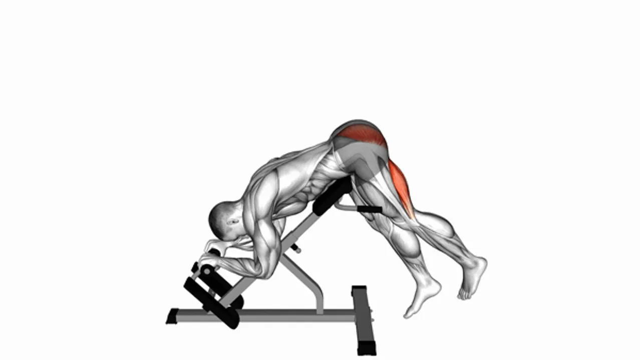 Single Leg Reverse Hyperextension