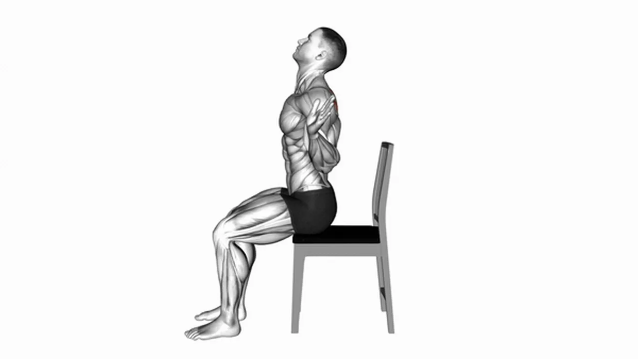 Common sitting scapular adduction variations Image