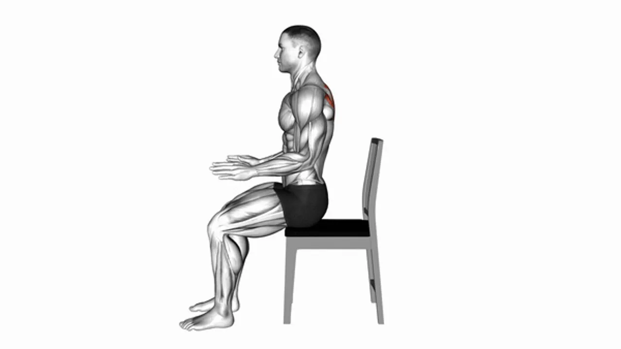 Sitting Scapular Adduction