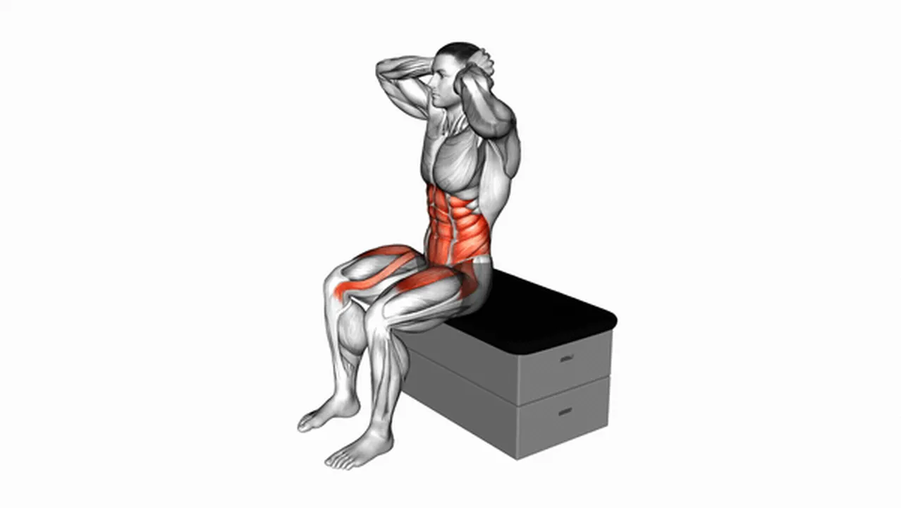 Common sitting twist knee raise variations Image