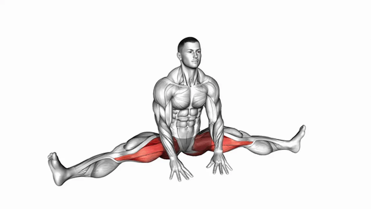 How to do the Sitting Wide Leg Adductor Stretch? Image