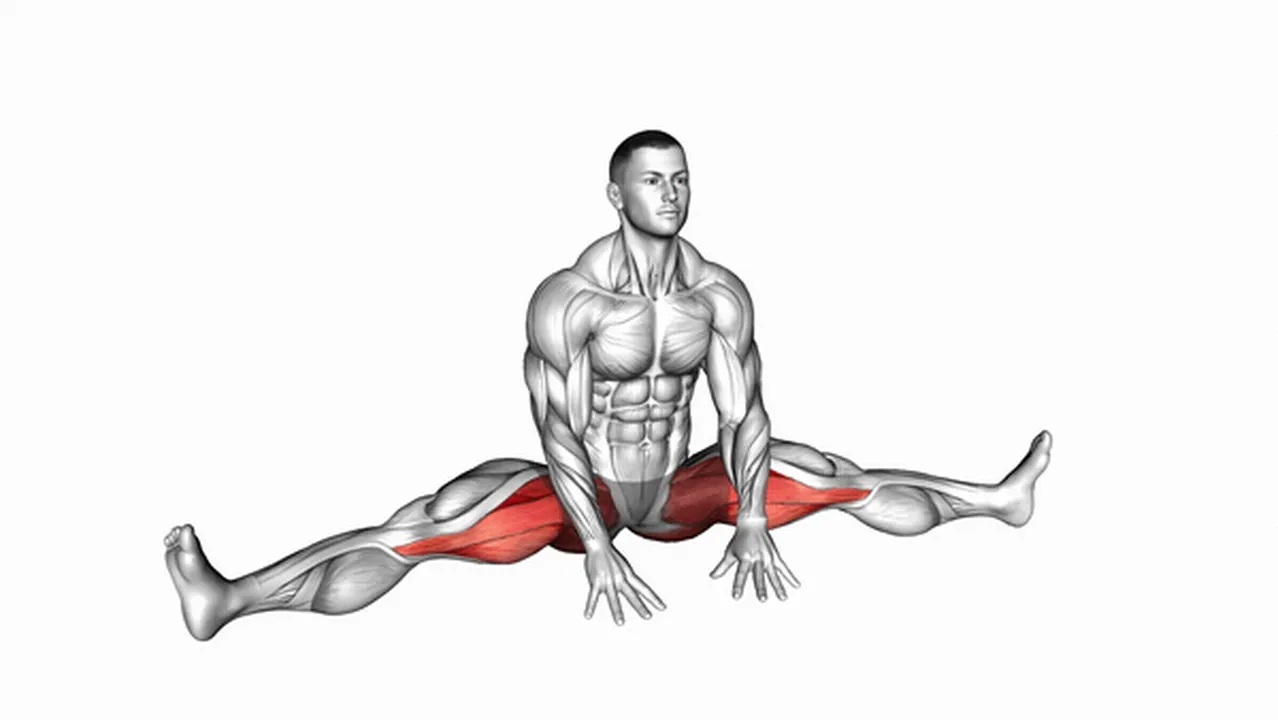 Common variations of the Sitting Wide Leg Adductor Stretch Image