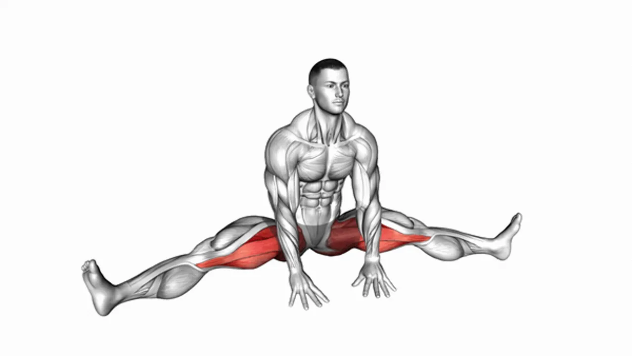 Sitting Wide Leg Adductor Stretch