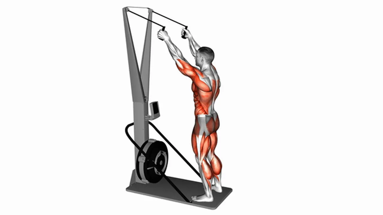 What are the benefits of Ski Ergometer Cardio? Image