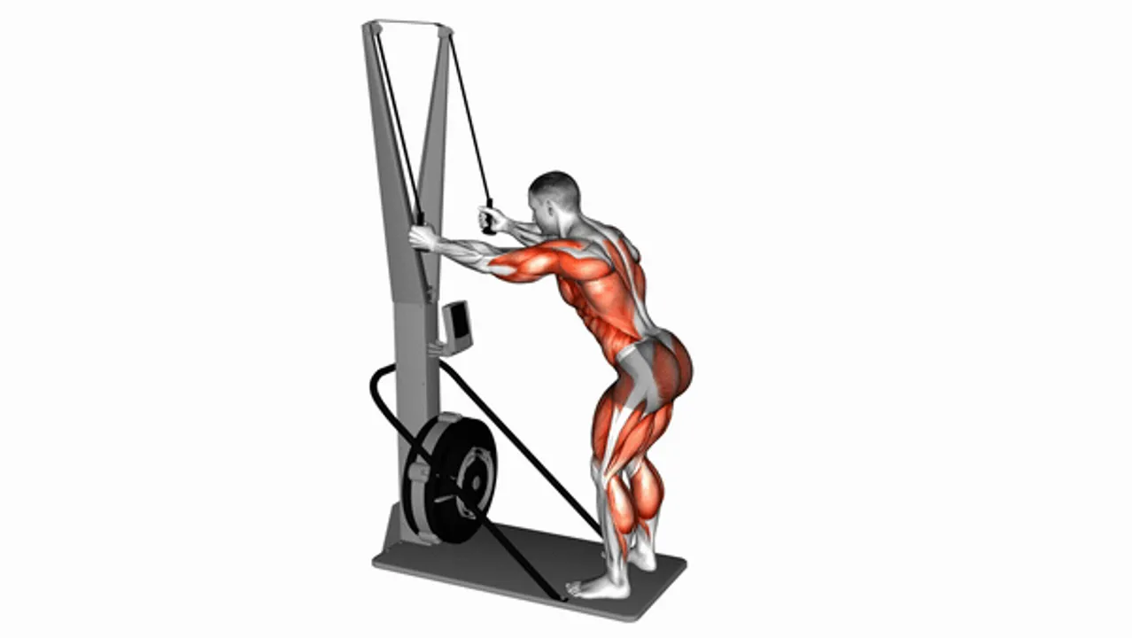 Ski Ergometer Cardio