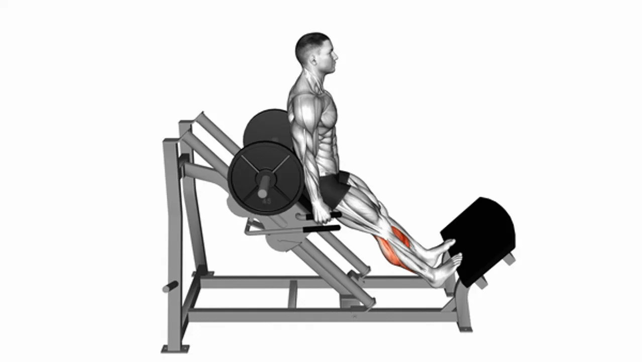 Sled Backward Angled Calf Raise