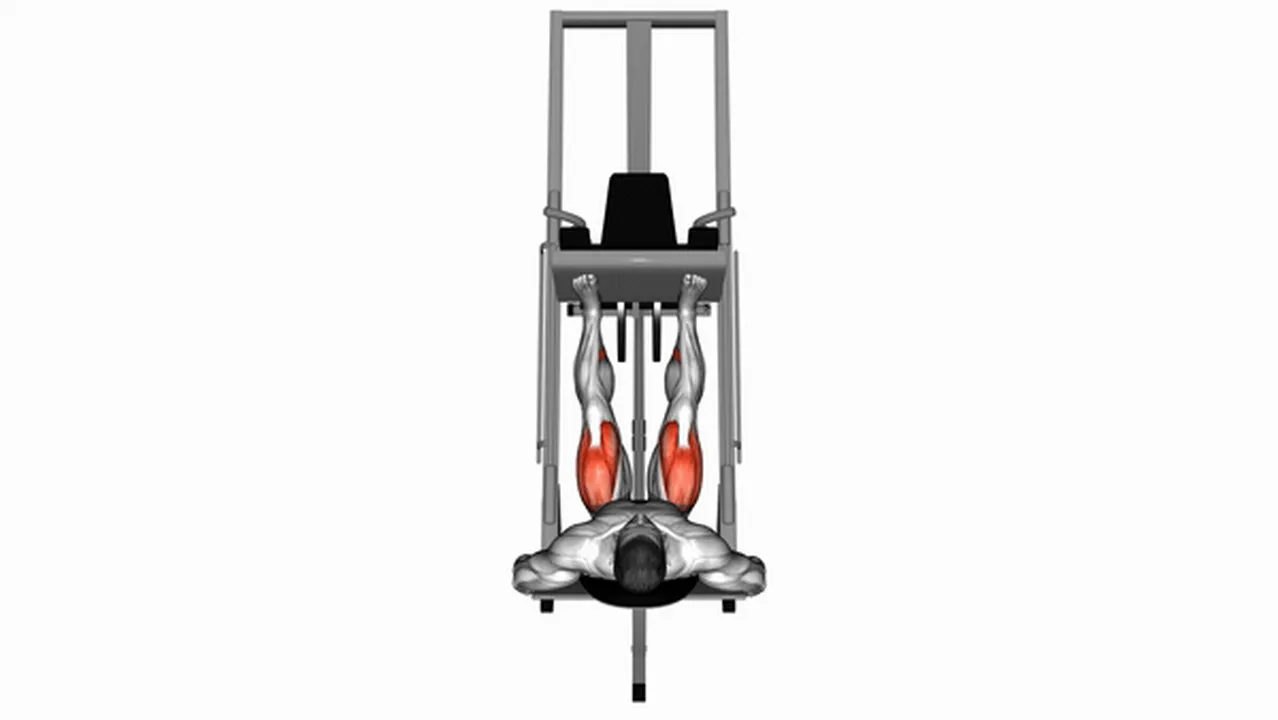 Common Sled Leg Press at 45 Degrees variations Image