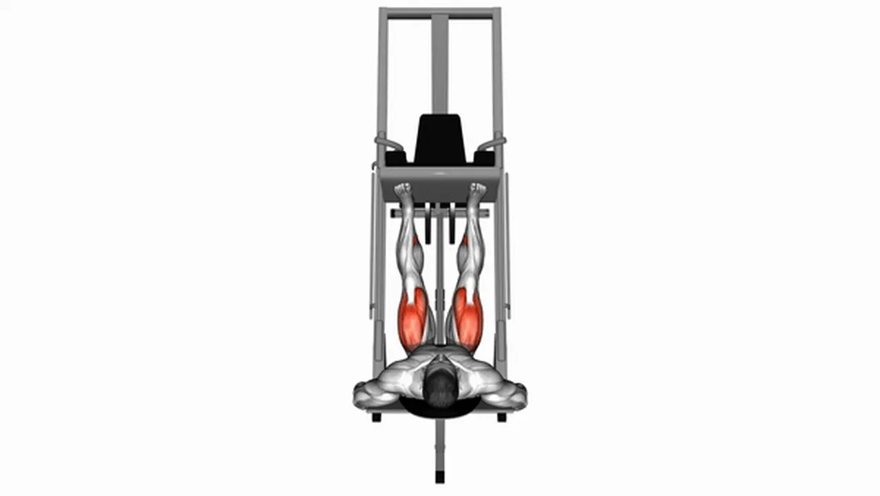 Alternatives to the Sled Leg Press at 45 Degrees Image