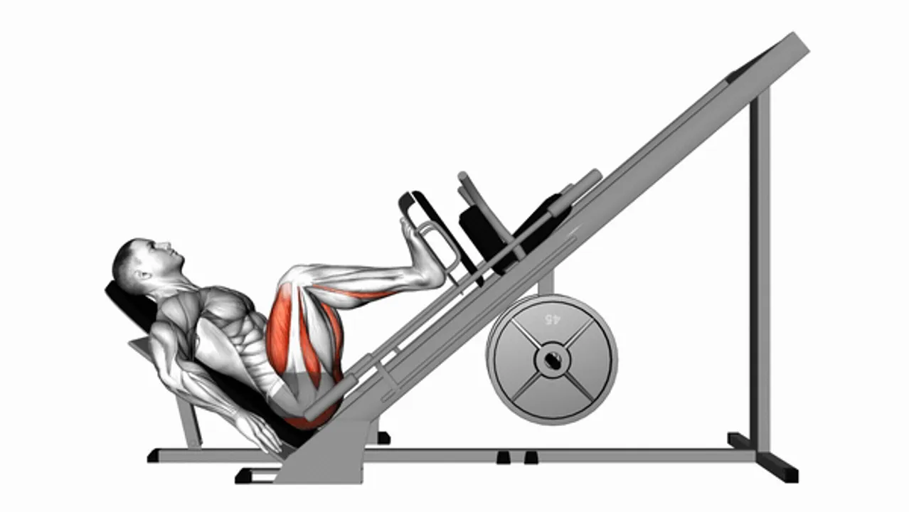 Sled Leg Press