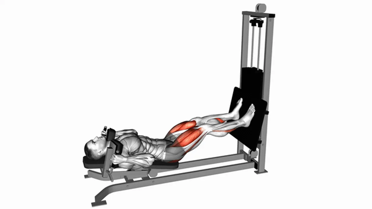 What are the benefits of sled lying squats? Image