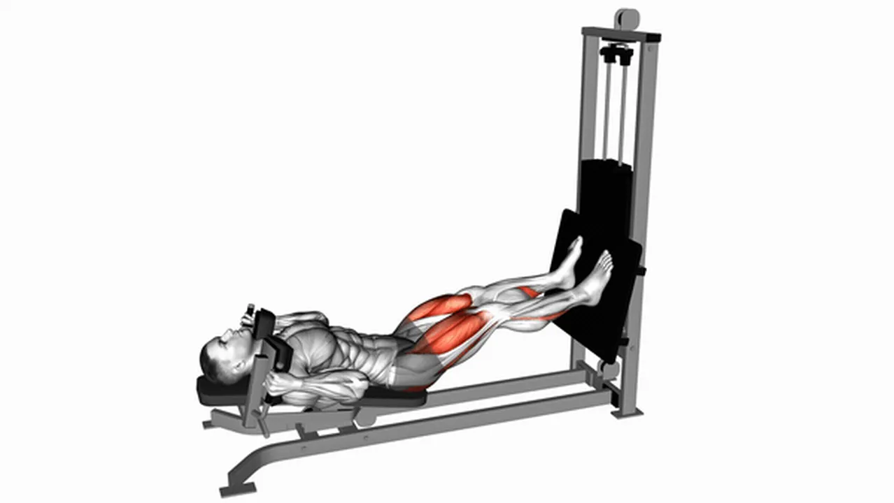 How to do sled lying squats? Image