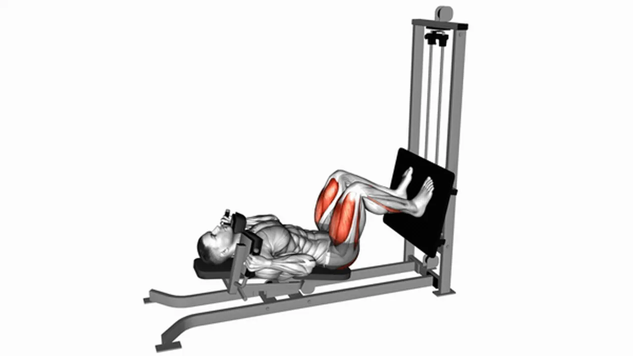 Common sled lying squat variations Image