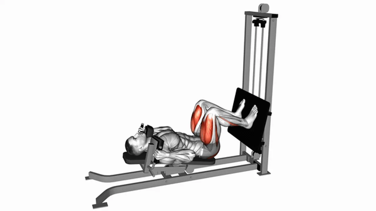 Common mistakes during sled lying squats Image