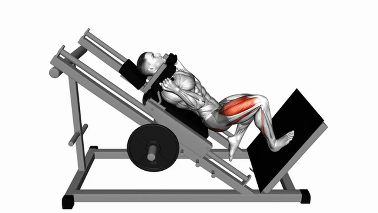 What are the benefits of the Sled One Leg Hack Squat? Image