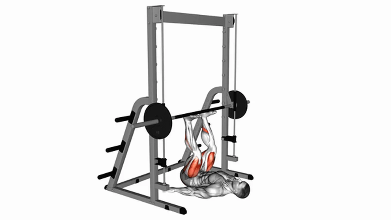 Common Smith Leg Press variations Image